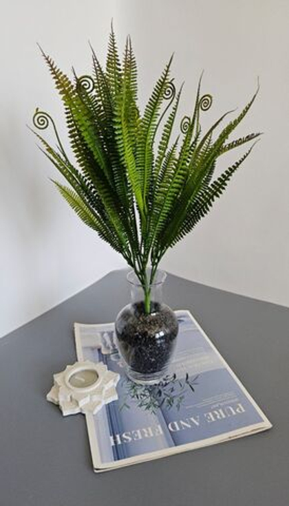 Папоротник мелколистный / Арт 5156