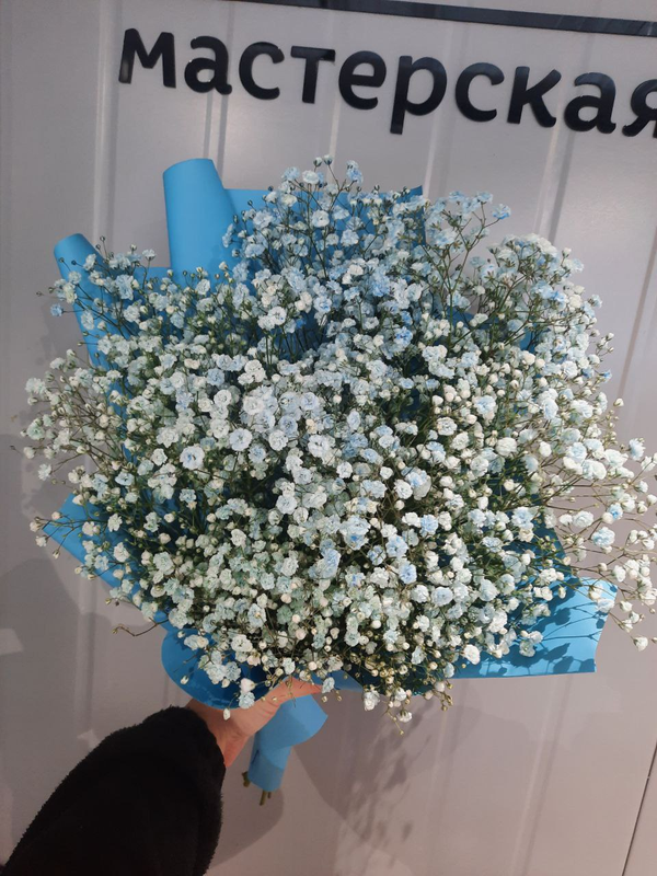 Букет из голубой гипсофилы