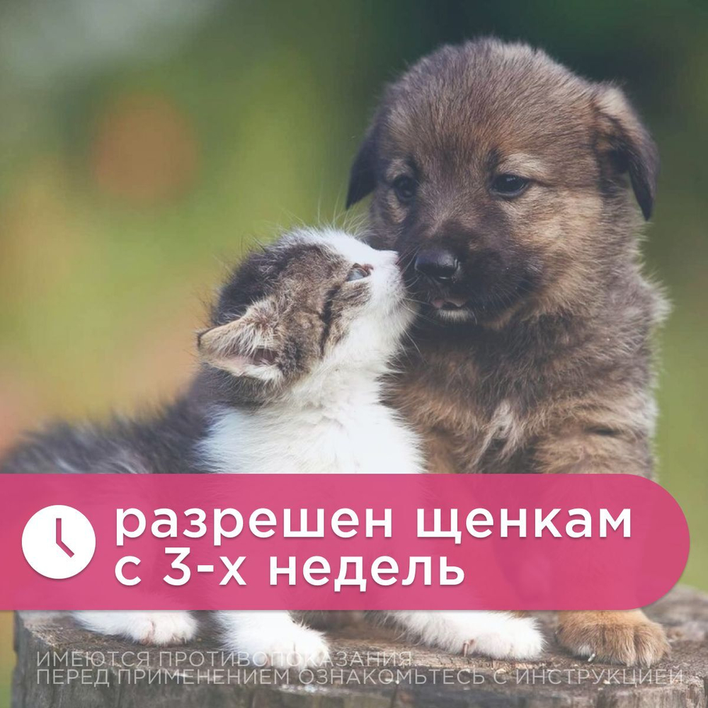 Суспензия АВЗ ДИРОНЕТ джуниор для щенков и котят, 15мл