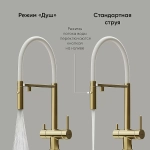 Смеситель для кухни Sancos Imola SC4010BG брашированное золото