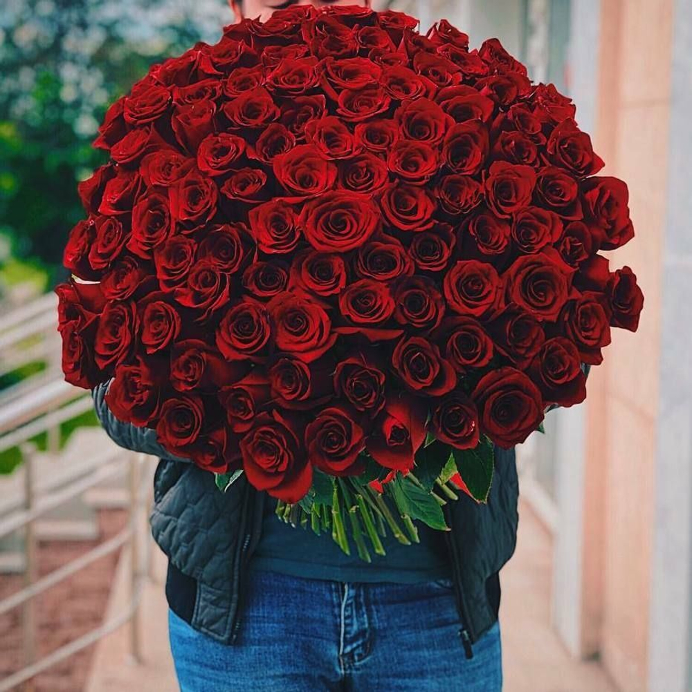 Красные розы Эквадор 50см