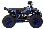Квадроцикл WELS Thunder Evo M детский