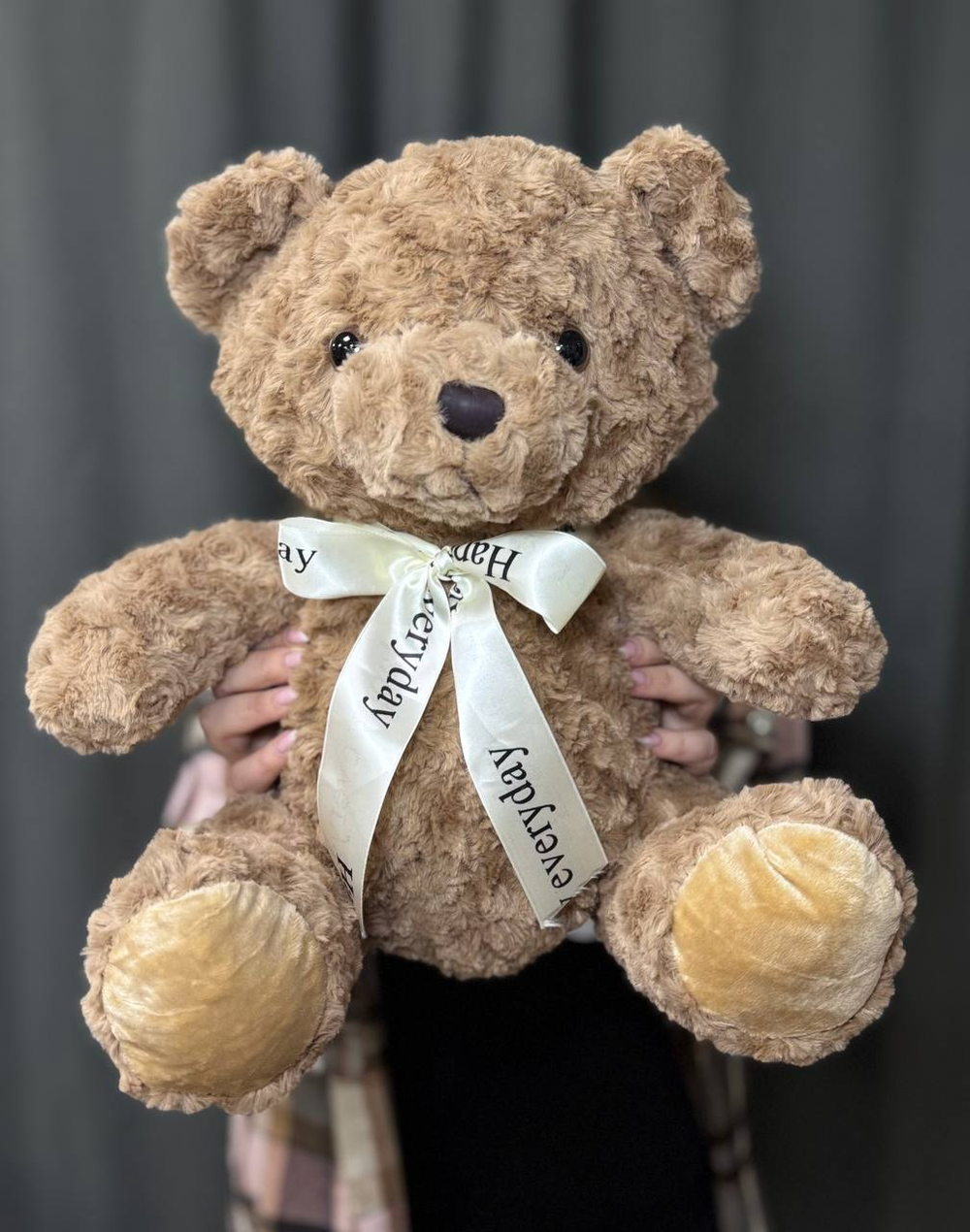 Медведь кофейного цвета