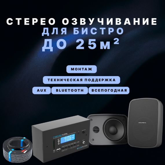 Высококачественное озвучивание для бистро (до 25 м²)