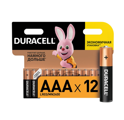Duracell, батарейки AAA (LR03), 12 шт