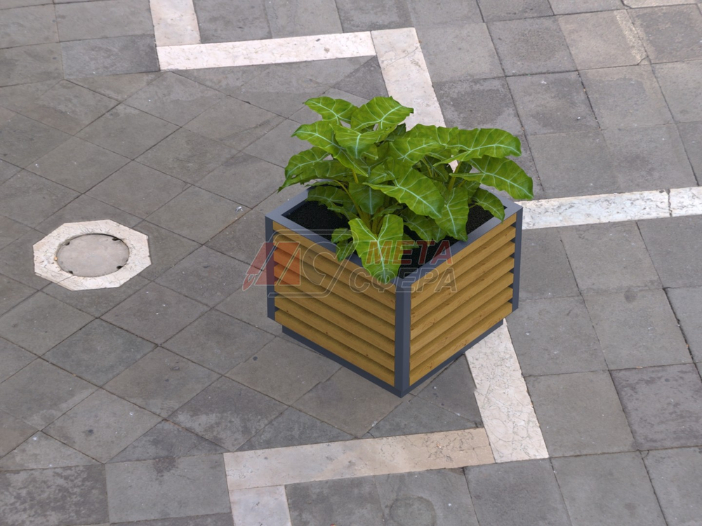 Вазон Кортен S