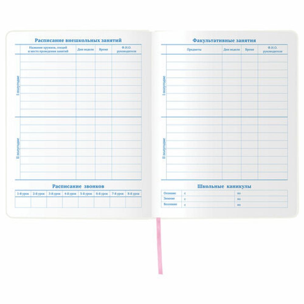 Дневник 1-11 класс 48 л., кожзам (гибкая), печать, фольга, BRAUBERG, "ПАСТЕЛЬНЫЙ", 105972