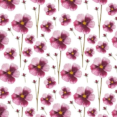 Акварельные цветы на белом фоне