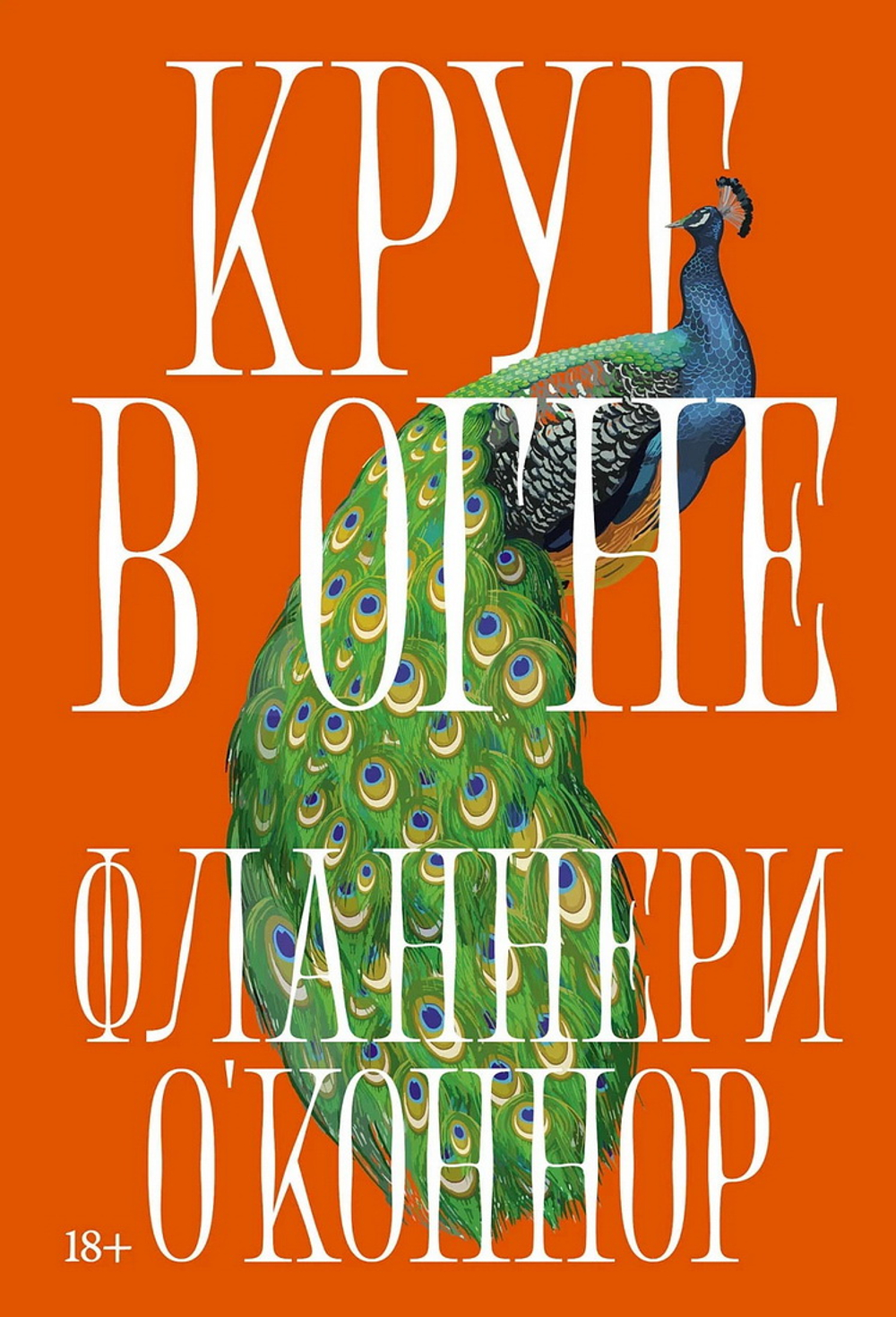 Круг в огне: Рассказы