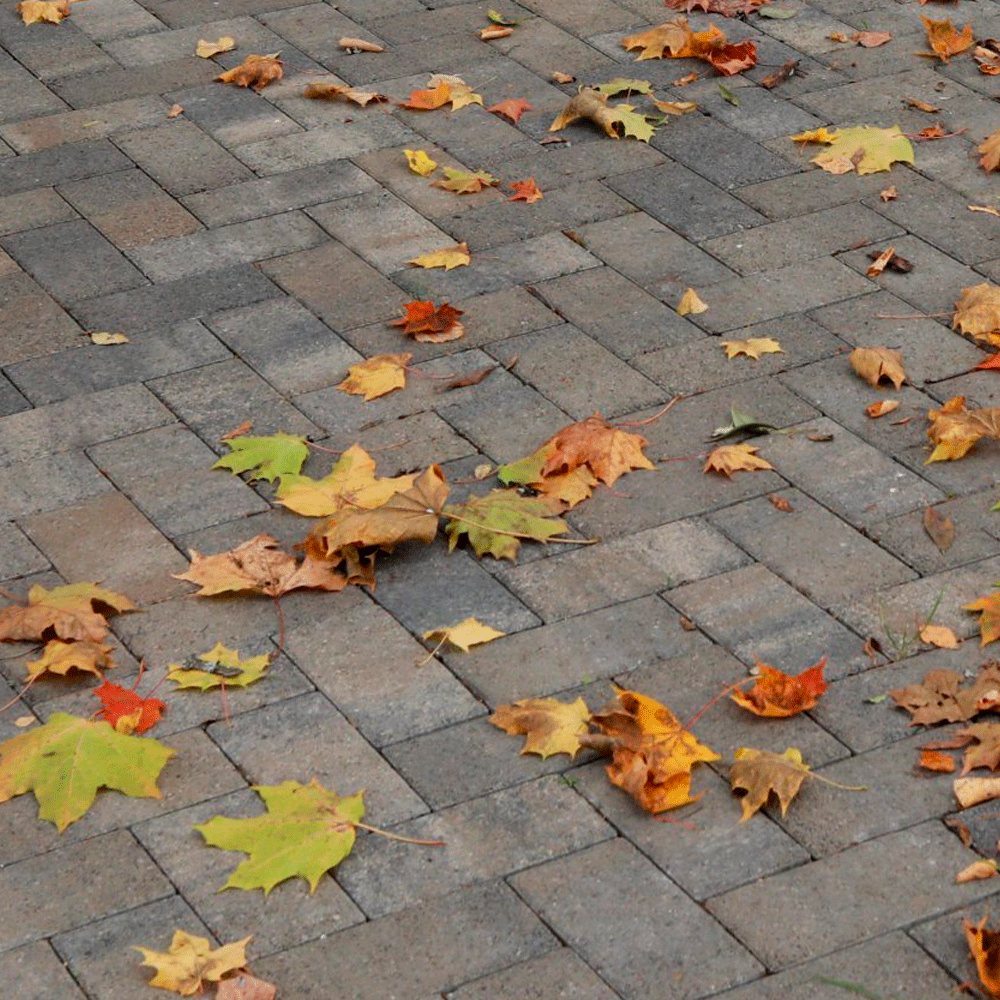 Тротуарная плитка ПРЯМОУГОЛЬНИК 200x100 мм - Листопад гранит Клен