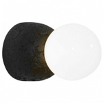 Накладной светильник Loft it Quill 10109W Dark grey