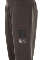 Брюки мужские Trouser EA7