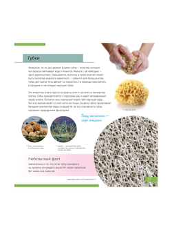 Книга знаний «Невидимый мир»