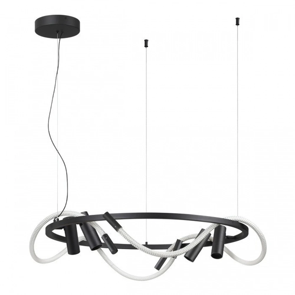 Подвесная люстра Odeon Light CORDA 4391/55L