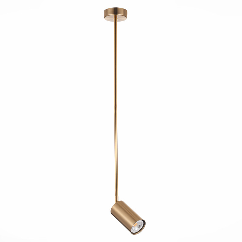 Светильник на штанге ST-Luce SL1206.303.01