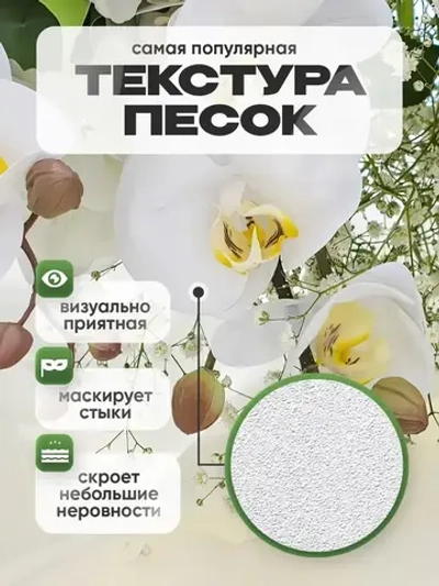 Auroom фотообои в спальню "Цветущие орхидеи" 300х270, флизелиновые, моющиеся, на кухню