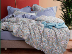 Постельное белье 2 спальное евро Asabella 1341-6