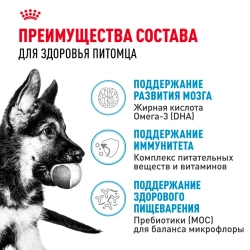 Royal canin maxi puppy сухой корм для щенков крупных пород до 15 месяцев - 3 кг