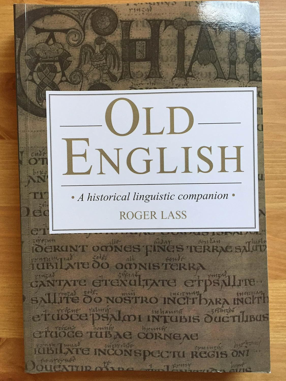 Old English: A Historical Linguistic Companion First Edition