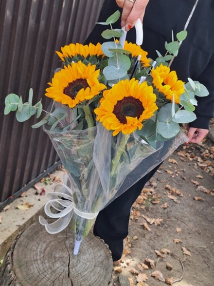 Подсолнухи в зонтике