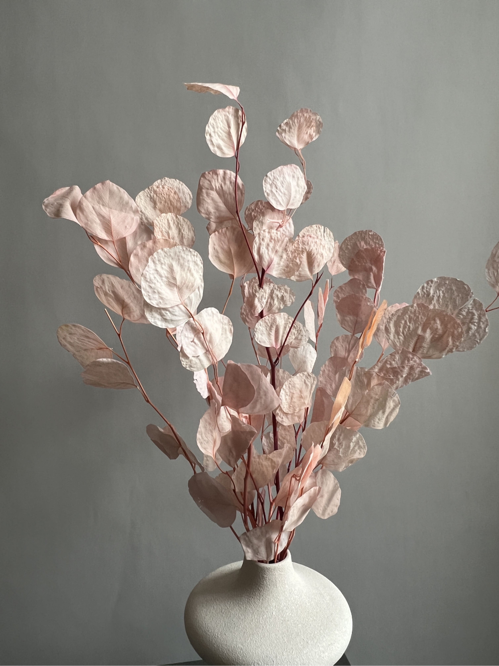 Эвкалипт Популус стабилизированный розовый