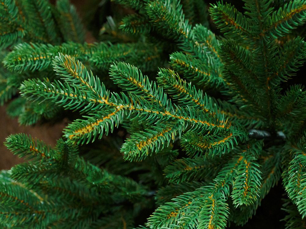 Ель искусственная «Кредо» (Литая+пвх) 210 см / 2,1 м