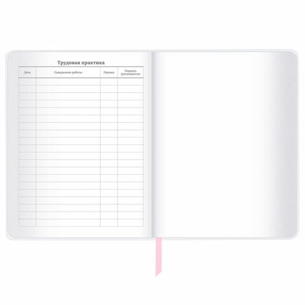 Дневник 1-11 класс 48 л., кожзам (твердая), магнитный клапан, ЮНЛАНДИЯ, "Панда", 106563