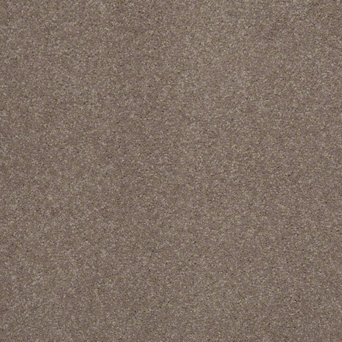 Ковровое покрытие Shaw Floors See the World III 731