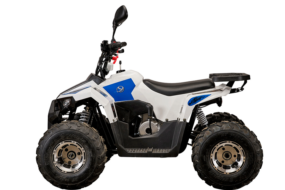 Yacota 110 Raposa 7" 2WD детский квадроцикл с двигателем 110 куб/см