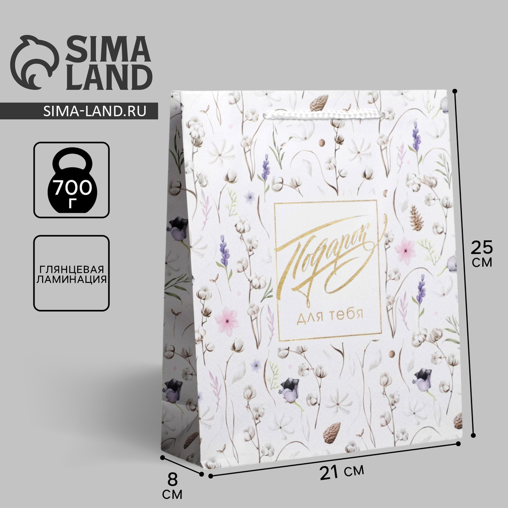 Пакет ламинированный «Gift for you», ML 21 х 25 х 8 см 6582667