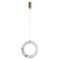 Подвесной светильник LOFT IT Soho 10410/D