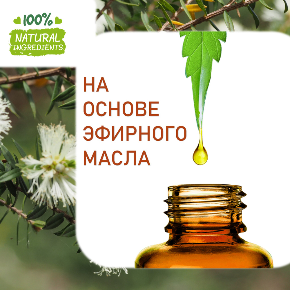Чайное дерево, отдушка для свечей и мыла
