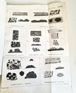 "Memoires de la societe imperiale des naturalistes de Moscou T. 1, 3, 5 (Воспоминания Московского Императорского Общества естествоиспытателей)". 1817 г.