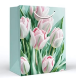 Пакет подарочный М 18*22,7*10см "Розовые тюльпаны" 15.11.02665