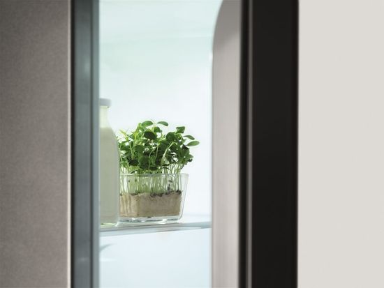 Холодильник Electrolux EN 3489 MFX