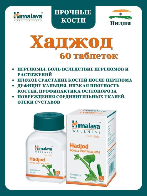 Хаджод Гималаи / Hadjod Himalaya