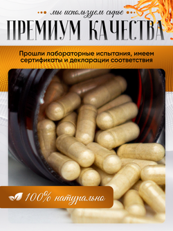 Кордицепс в капсулах по 700 мг, милитарис 60 шт.