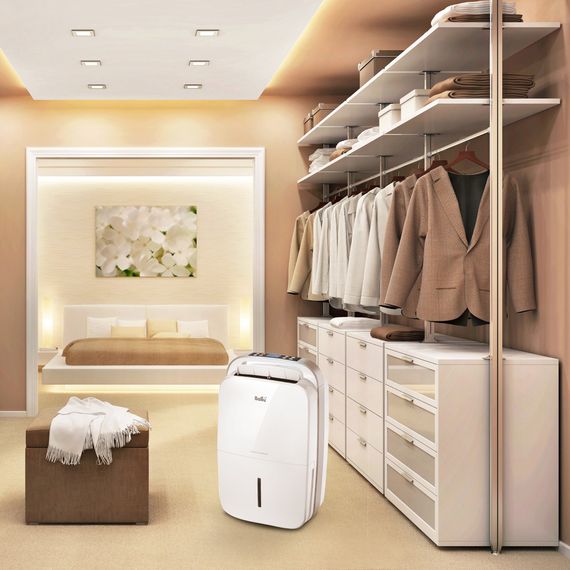 Осушитель воздуха Ballu BD30MN купить в Москве и Московской области по низкой цене с доставкой по России — (6) Осушитель воздуха Ballu BD30MN — (6)