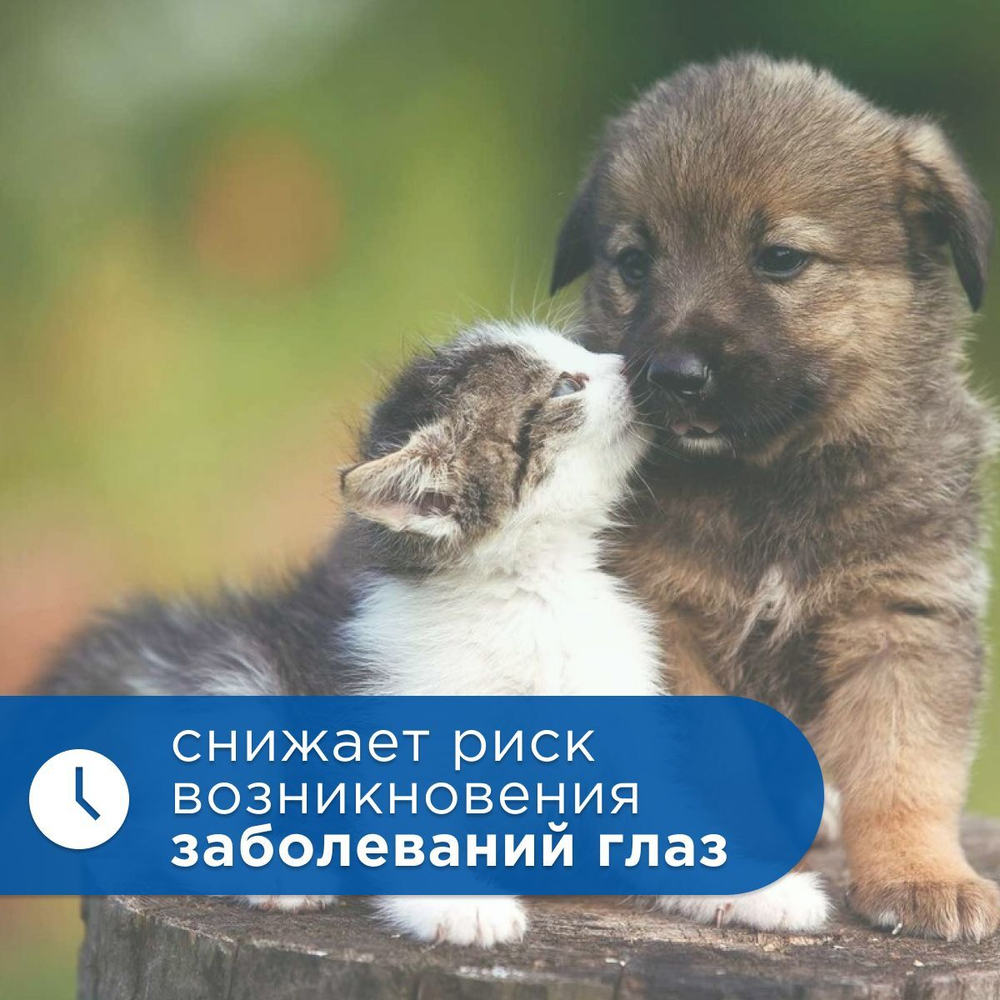 Лосьон для глаз очищающий Стоп Проблема для кошек и собак, 25мл