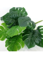 Куст монстера, 9 листьев. 3 шт.