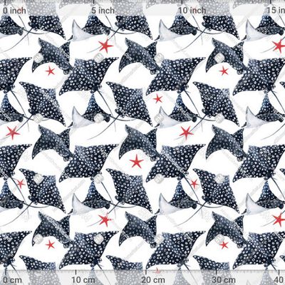 Скат и морские звезды  by Anastasia Lembrik 625 DPI