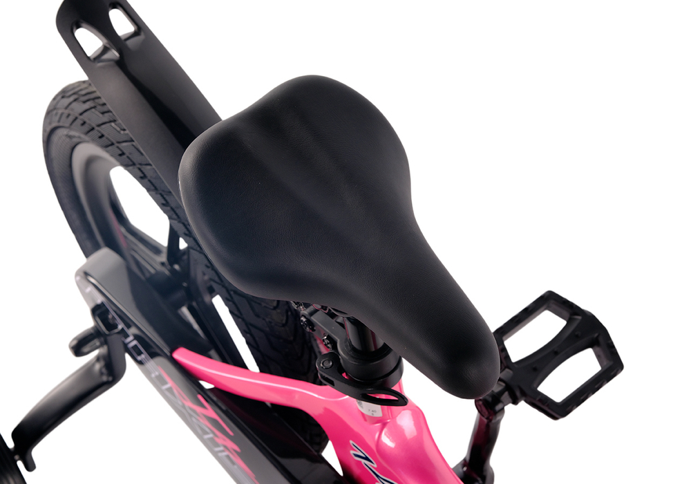 Maxiscoo JAZZ Pro 14'' (2025)