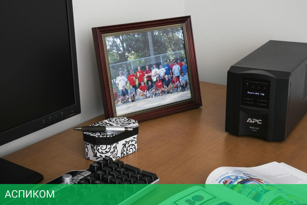 Источник бесперебойного питания APC Smart-UPS 500Вт 750ВА черный (SMT750IC)