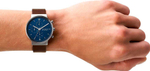 Мужские наручные часы Skagen SKW6765