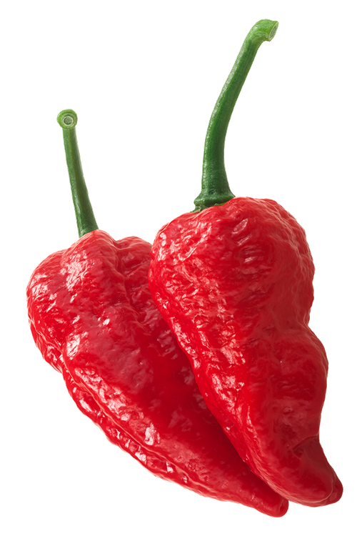 Каролина Рипер (Carolina Reaper) в ассортименте