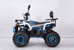 Квадроцикл YACOTA VEKTOR 125 LUX