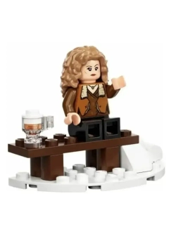 Конструктор Визит в деревню Хогсмит 885 деталей 6048