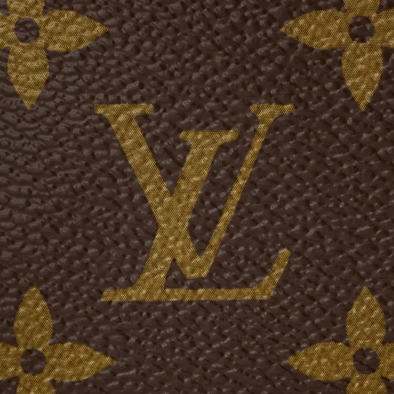 Клатч женский Louis Vuitton Mini Pochette коричневый