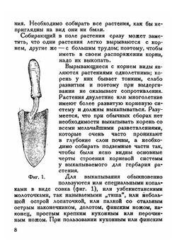 Как составлять гербарий | Б.К. Шишкин