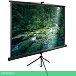 Проекционный экран Cactus CS-PSTE-220х165-BK